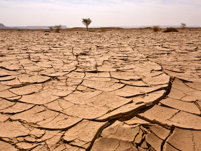 「地球環境はわずか70年で一変した」環境問題の権威が語る、責任と変革
