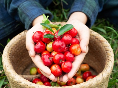 34 times more than lemon !? Effective health management with fruits that contain plenty of vitamin C
