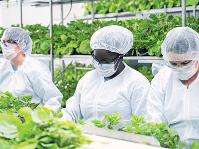 今年度中の供給を目指す。三菱ケミカルHDが進めるVLPワクチン開発が最終局面に