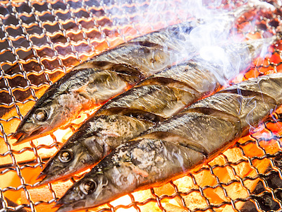 漁師も、資源も持続可能に。被災地・気仙沼で漁業を再興できた理由