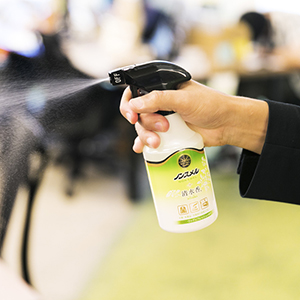 デスクでランチしても周りに迷惑をかけない方法