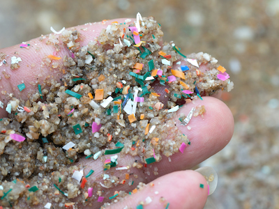 専門家が明かす「海洋プラスチック」問題の真実