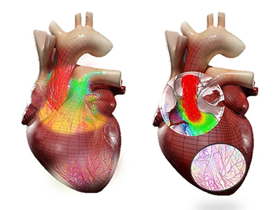 絶版　貴重　山口揚平　株式投資セミナーDVD　企業価値を見抜くデューデリジェンス 絶版 貴重 山口揚平 株式投資セミナーDVD 企業価値を見抜くデュー