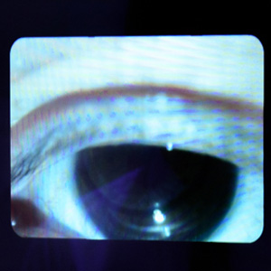 理想的な瞳のかたち、「アーモンドアイ」って知ってる?