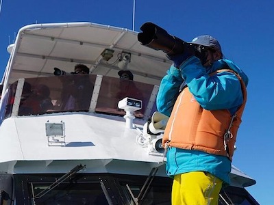 ラッコの研究から判明。海の中で食べていたものは……?