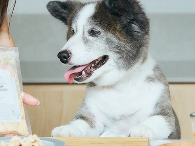 あなたが犬だったら、「乾いた豆粒」を食べますか? ペットビジネスへの違和感