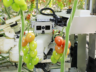 生産性向上、ストレスチェック、農作物収穫 ——社会課題を解決するパナソニックの「画像処理・センシング技術」