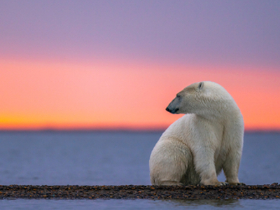 2050年、気温2℃の差で社会はどう変わるのか──気候変動問題を考える